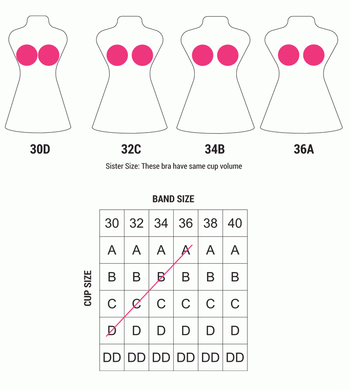 Bra Sister Sizes To The Rescue - Sisterhood Of Bras | Clovia Blog