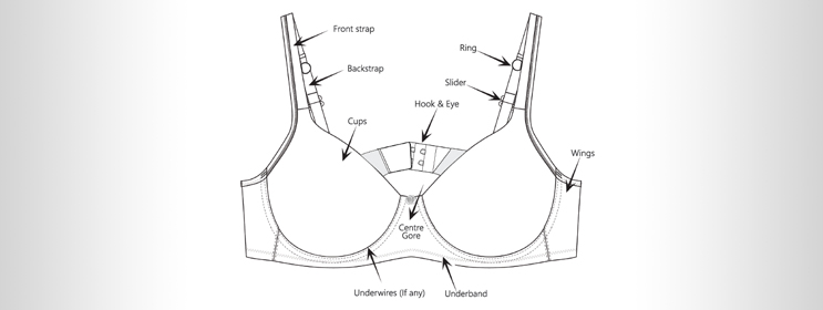 A Guide To Parts Of A Bra Anatomy With Functions - Textile Details