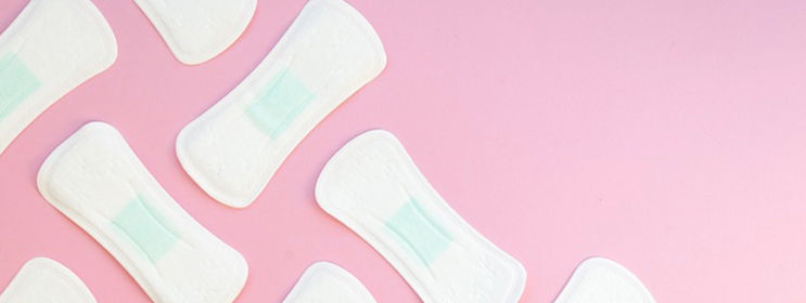 Reusable Sanitary Pad, Regular Size, Menstrual Pad