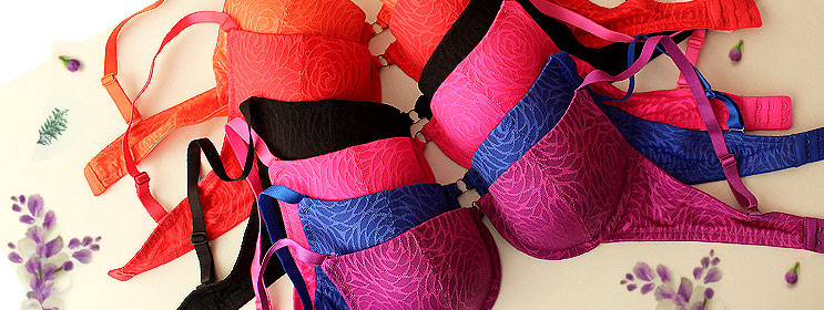 How many bras should a woman own? - Quora