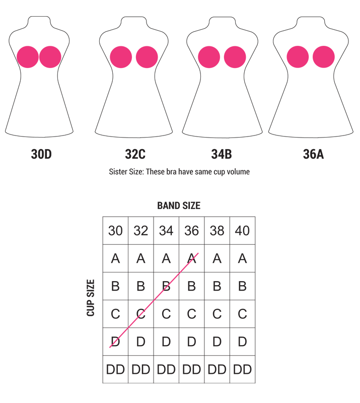 Sister Size Chart For Bras